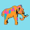 Mammoth Club profile photo